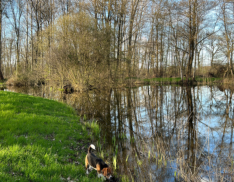 Natuur onder druk